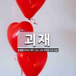 괴재 뜻