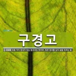 구경고 뜻: 아홉 가지 경서가 있는 창고라는 뜻으로, 많은 경서를 깊이 앎을 이르는 말.