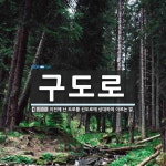 구도로 뜻: 이전에 난 도로를 신도로에 상대하여 이르는 말.