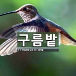 구름밭 뜻