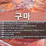 구마 뜻: 곡식을 빻거나 찧으며 떡을 치기도 하는 기구. 통나무나 돌, 쇠 따위를 속이 우묵하게 만들 [국어 사전]