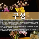 구성 뜻: 황금의 품질을 10등급으로 나누었을 때의 둘째 등급., 국악에서, 아홉 곡이 끝남을 이르는 [국어 사전]