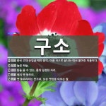 구소 뜻: 중국 고대 순임금 때의 음악. 아홉 곡으로 끝나는 데서 붙여진... , [국어 사전] 구소 뜻: 중국 고대 순임금 때의 음악. 아홉 곡으로 끝나는... 