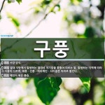 구풍 뜻