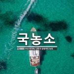 국농소 뜻: 조선 초기에, 나라가 경영하던 농장.