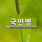 국민병 뜻: 어느 한 나라의 국민이라면 누구든지 쉽게 걸릴 수 있는 병.