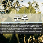 군주 뜻: 세습적으로 나라를 다스리는 최고 지위에 있는 사람., 신라 때 각 주(州)의 으뜸 벼슬. [국어 사전] 군주 뜻: 세습적으로 나라를 다스리는... 