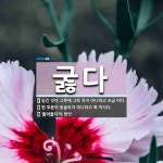 굻다 뜻: 담긴 것이 그릇에 그득 차지 아니하고 조금 비다., 한 부분이 옹골차지 아니하고 푹 꺼지다 [국어 사전]