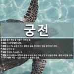 궁전 뜻: 활과 화살을 아울러 이르는 말., 각 궁에 딸린 논밭., 신라 때, 궁궐과 여러 왕족의 궁 [국어 사전]