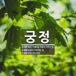 궁정 뜻: 활과 기(旗)를 아울러 이르는 말., 임금이 거처하는 집., 궁궐 안의 마당. [국어 사전]
