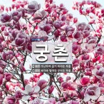 궁촌 뜻: 가난하여 살기 어려운 마을., 외따로 떨어진 구석진 마을. [국어 사전]
