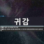 귀감 뜻: 거울로 삼아 본받을 만한 모범., 어떤 지방에서 범인을 잡았을 때에, 그 거주지의 당해 담 [국어 사전]