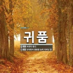 귀품 뜻