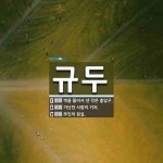 규두 뜻: 벽을 뚫어서 낸 작은 출입구., 가난한 사람의 거처., 부인의 침실. [국어 사전]
