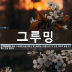 그루밍 뜻