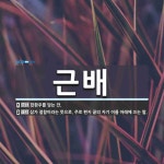 근배 뜻