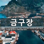 금구장 뜻: 고려 시대 의장(儀仗)의 하나. 둥글고 기다란 몽둥이 꼭대기에 구멍 뚫린 공을 붙인 것으로