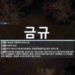 금규 뜻