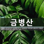 금병산 뜻: 세종특별자치시 금남면에 있는 산. 인근에 있는 비학산에서 금병산까지 연결되는 산책로가 조성