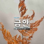 금안 뜻: 금으로 꾸민 안장.