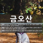 금오산 뜻: 경상북도 구미시와 김천시, 칠곡군의 사이에 있는 산. 금오 서원이 유명하다. 경상북도의 도 [국어 사전]