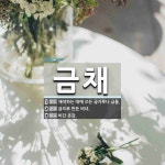 금채 뜻: 채색하는 데에 쓰는 금가루나 금물., 금으로 만든 비녀., 비단 옷감. [국어 사전]