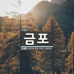 금포 뜻: 비단으로 만든 도포나 두루마기.