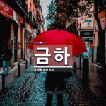 금하 뜻: 올해 여름.