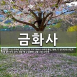 금화사 뜻: 조선 시대에, 궁성과 도성, 도로 따위의 수축과 궁성, 관아, 각 방(坊)의 소방(消防)을