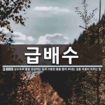 급배수 뜻: 상수도로 물을 공급하는 일과 사용한 물을 흘려 보내는 일을 아울러 이르는 말.