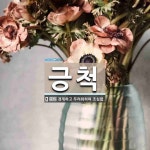 긍척 뜻