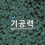 기공력 뜻: 단전으로 숨을 쉬는 정신 수련 능력.