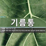 기름통 뜻