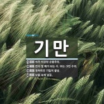 기만 뜻