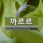 까르르 뜻