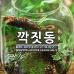 깍짓동 뜻: 콩이나 팥의 깍지를 줄기가 달린 채로 묶은 큰 단., 몹시 뚱뚱한 사람의 몸집을 비유적으로 [국어 사전]