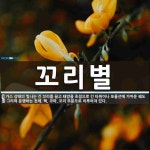 꼬리별 뜻: 가스 상태의 빛나는 긴 꼬리를 끌고 태양을 초점으로 긴 타원이나 포물선에 가까운 궤도를 그