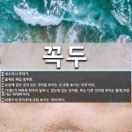 꼭두 뜻: 정수리나 꼭대기., 물체의 제일 윗부분., 눈앞에 없는 것이 있는 것처럼 보이는 것. ⇒규 [국어 사전]