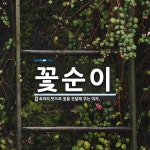 꽃순이 뜻: 축하의 뜻으로 꽃을 전달해 주는 여자.