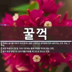 꿀꺽 뜻: 액체나 음식물 따위가 목구멍이나 좁은 구멍으로 한꺼번에 많이 넘어가는 소리. 또는 그 모양 [국어 사전]