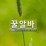 꿀알바 뜻·의미 | 국어 사전 | 워드로