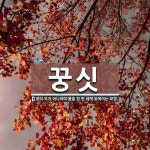 꿍싯 뜻: 잠이 오지 아니하여 몸을 한 번 세게 뒤척이는 모양.