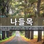 나들목 뜻