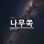 나무쪽 뜻: 나무의 조각.