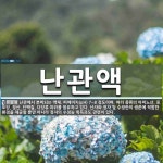 난관액 뜻: 난관에서 분비되는 액체. 피에이치(pH) 7~8 정도이며, 여러 종류의 아미노산, 포도당,