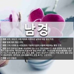 남경 뜻: 귀두, 요도구, 고환 따위로 이루어진 남자의 바깥 생식 기관.... , [국어 사전] 남경 뜻: 귀두, 요도구, 고환 따위로 이루어진 남자의 바깥... 