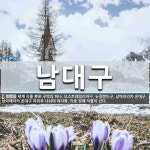 남대구 뜻