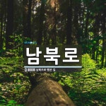 남북로 뜻: 남북으로 뻗은 길.