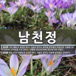 남천정 뜻