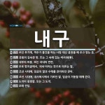 내구 뜻: 조선 후기에, 객주가 물건을 파는 사람 대신 흥정을 해 주고 받는 돈., 궁중의 깊숙한 방 [국어 사전]